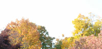 Seasons